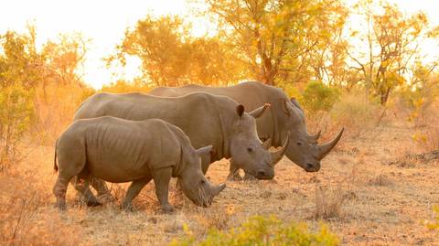 Tanzania Small Group Tours: Northern Tanzania Circuit