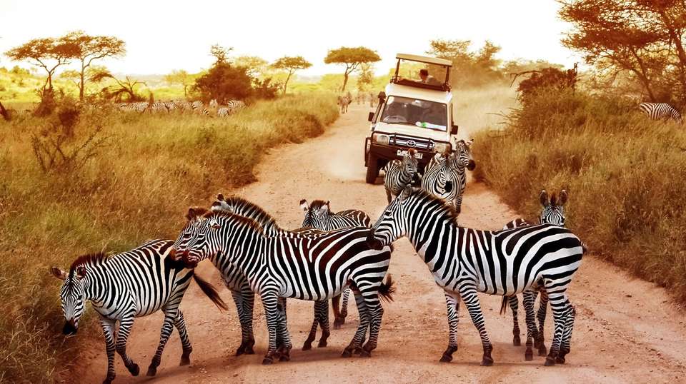 Northern Tanzania Circuit - World Expeditions - Tanzania - Image 2
