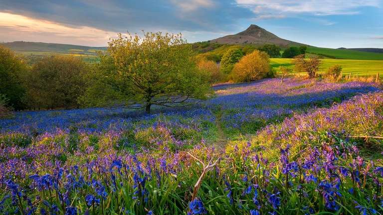 Coast to Coast East - Kirkby Stephen to Robin Hood's Bay - 9 Days trip - alternative tour available