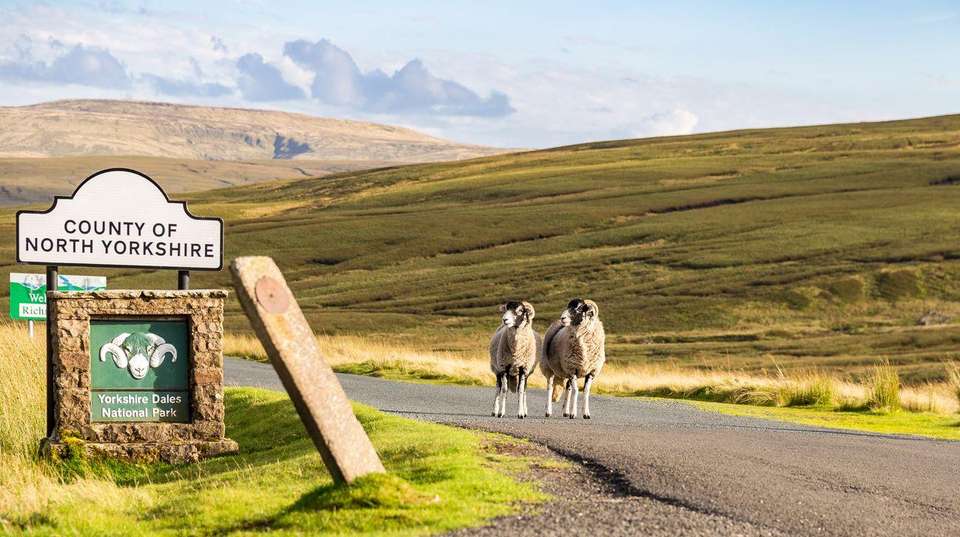 Coast to Coast: Walk Kirkby Stephen to Robin Hood's Bay - Walkers' Britain - England - Image 15