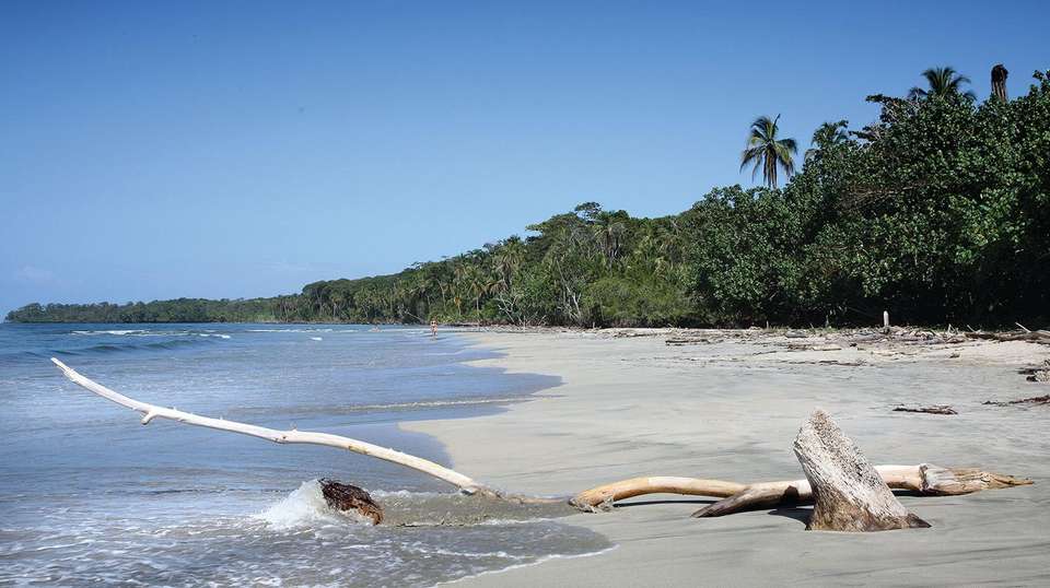 Eco Adventure Trip in Costa Rica - Green World Adventures - Costa Rica - Image 4