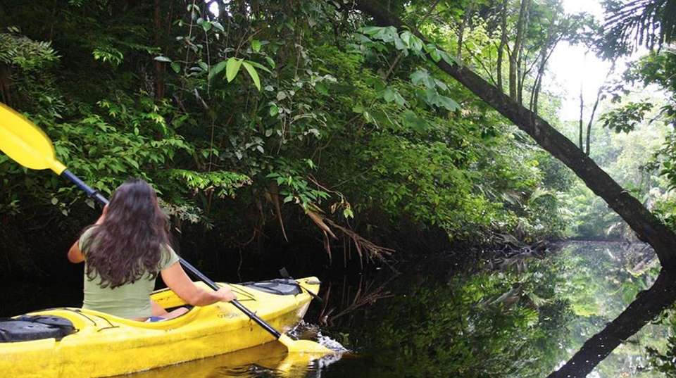 From the Caribbean Coast to the Pacific Side - Green World Adventures - Costa Rica - Image 2