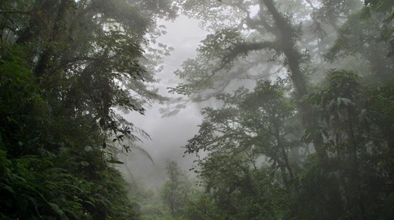Image 4 of 10