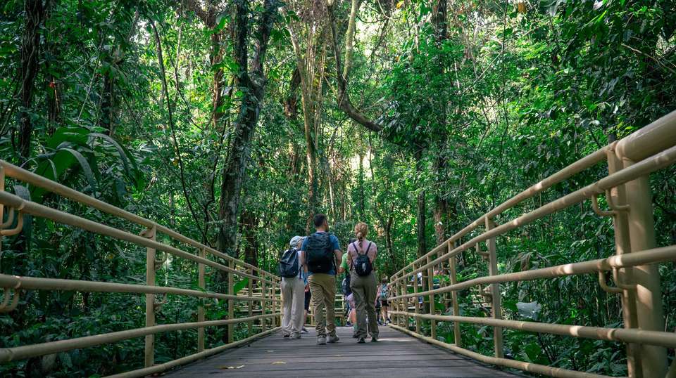 From the Caribbean Coast to the Pacific Side - Green World Adventures - Costa Rica - Image 5