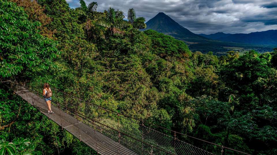 From the Caribbean Coast to the Pacific Side - Green World Adventures - Costa Rica - Image 6