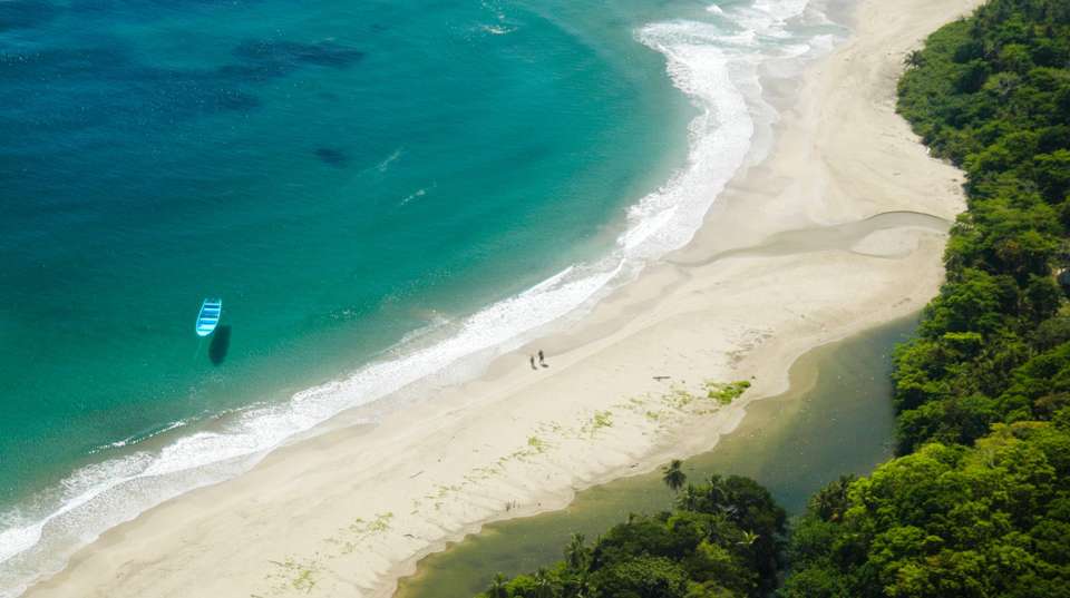 From the Caribbean Coast to the Pacific Side - Green World Adventures - Costa Rica - Image 10