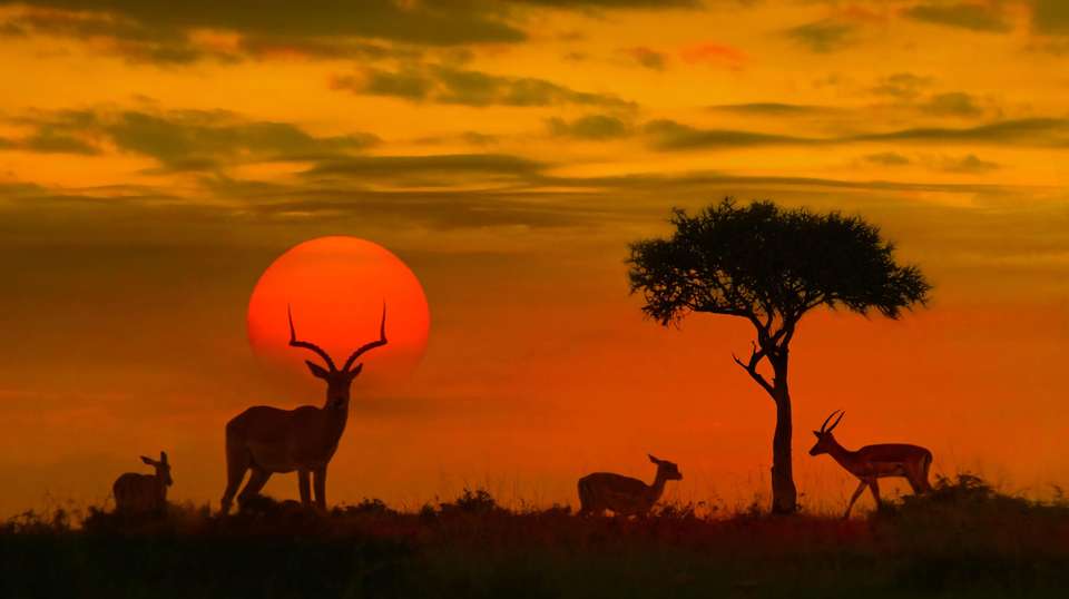 South Africa Cycling Adventure - World Expeditions - South Africa