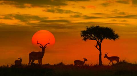 South Africa Cycling Adventure - October 2026