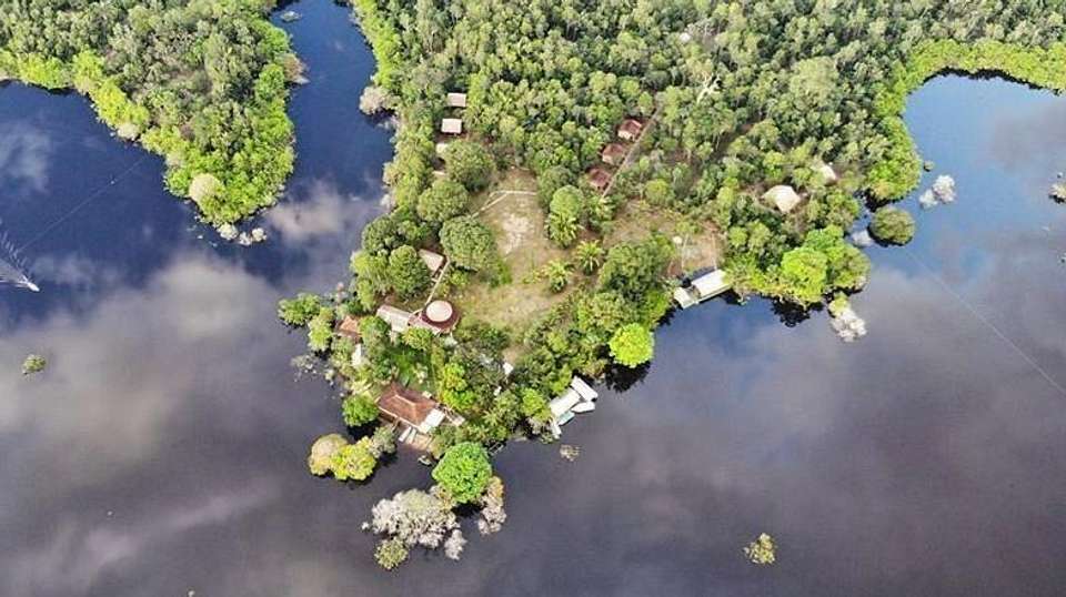  Amazon Rainforest Sustainable Experience - Nattrip - Brazil - Image 8