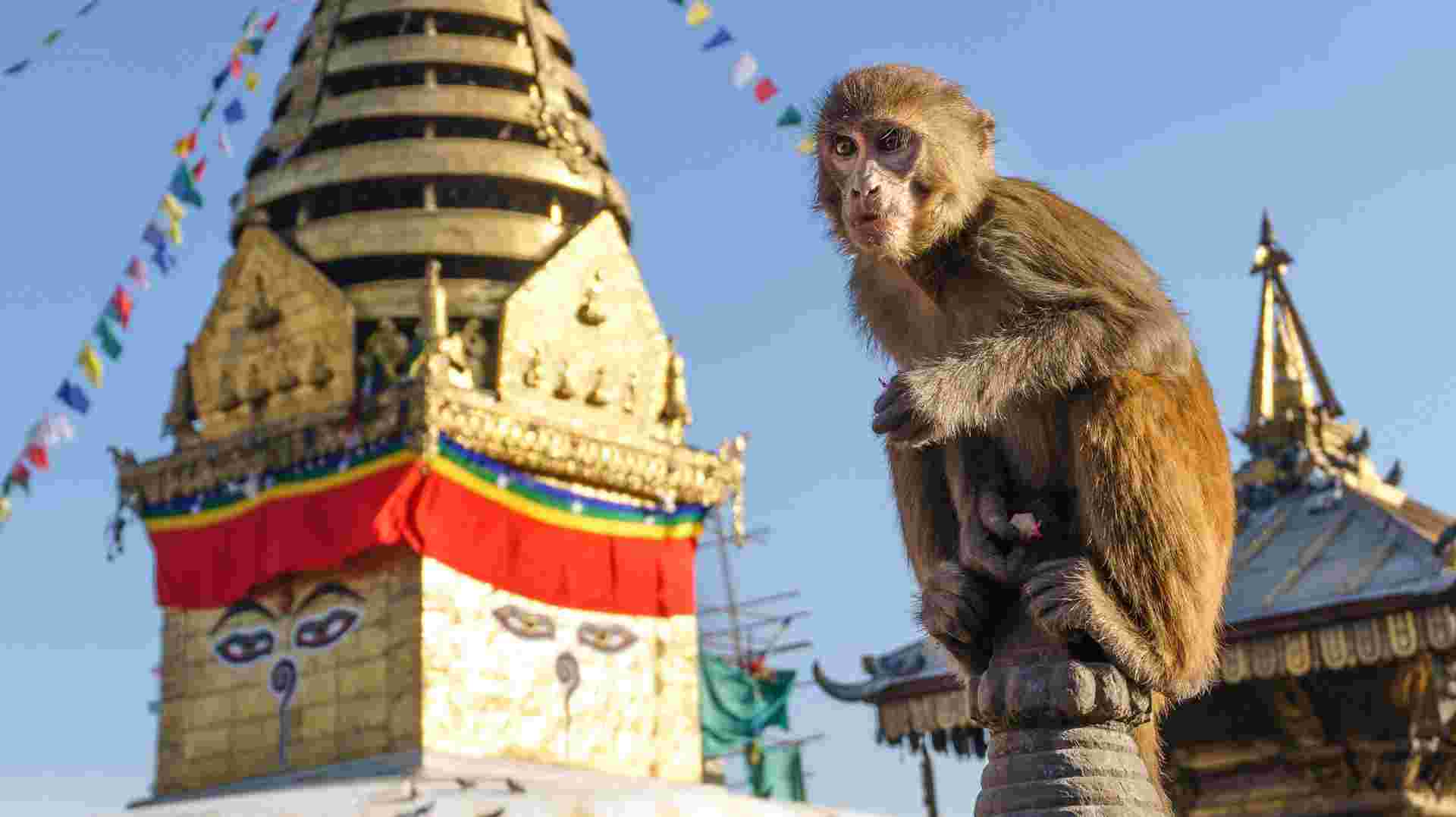 Classic Nepal