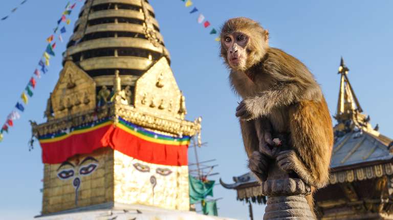 Classic Nepal trip - alternative tour available