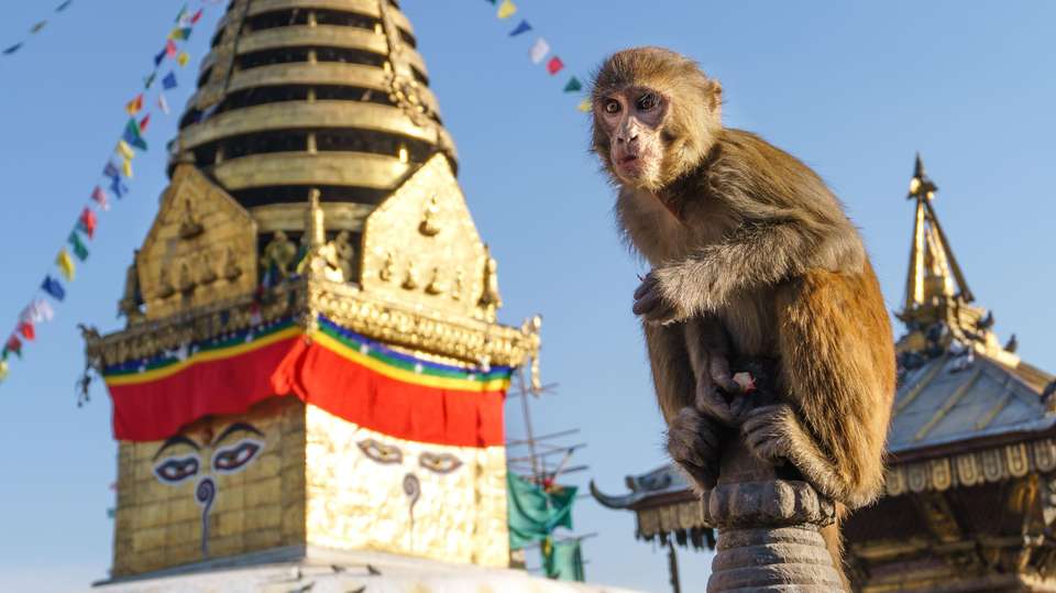 Classic Nepal - Encounters Travel - Nepal - Image 1
