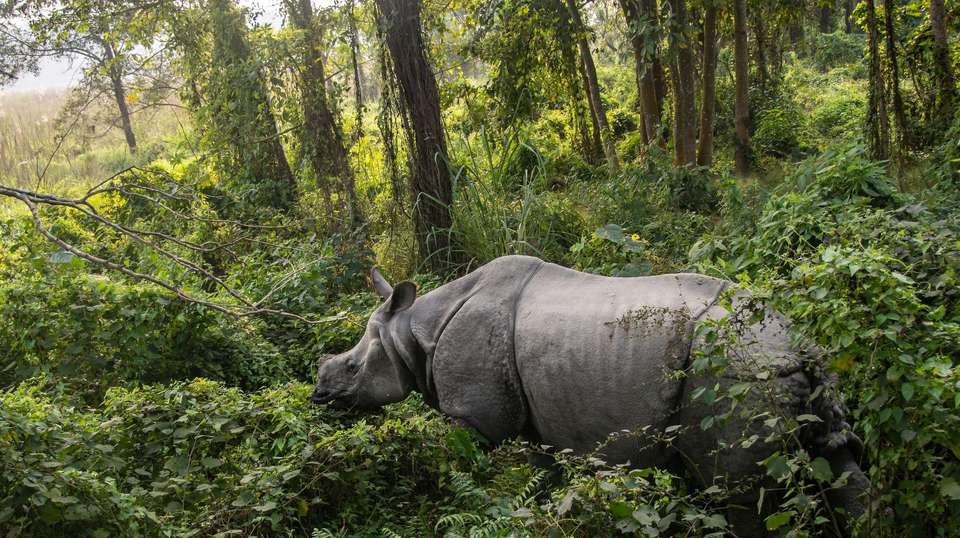 Classic Nepal - Encounters Travel - Nepal - Image 6