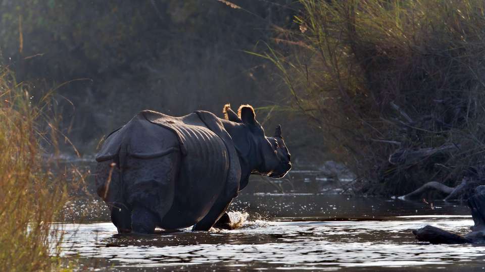 Classic Nepal - Encounters Travel - Nepal - Image 7