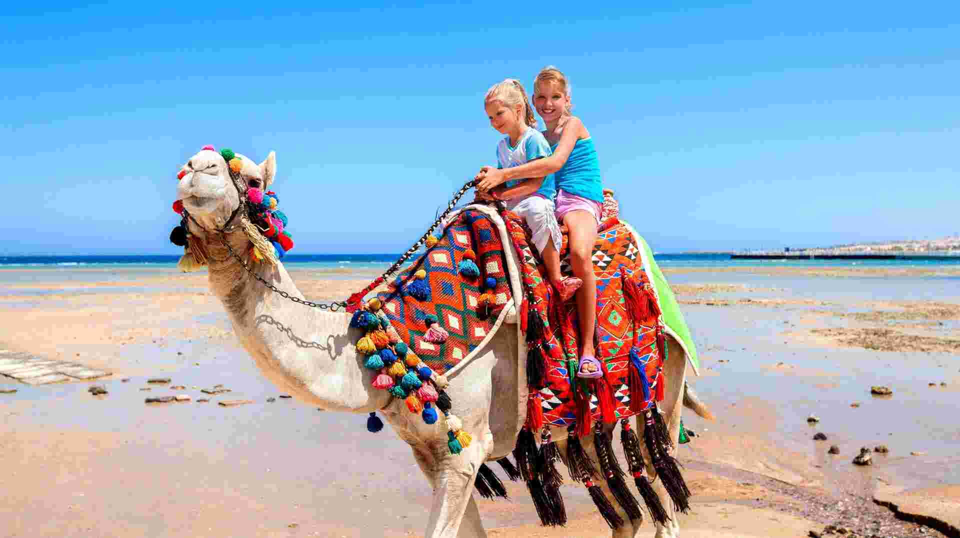 Egyptian Family Adventure
