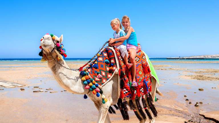 Egyptian Family Adventure - 12 days