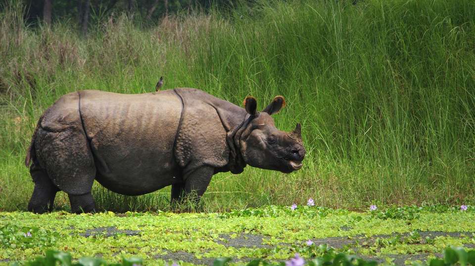 Nepal Exposed - Encounters Travel - Nepal - Image 3