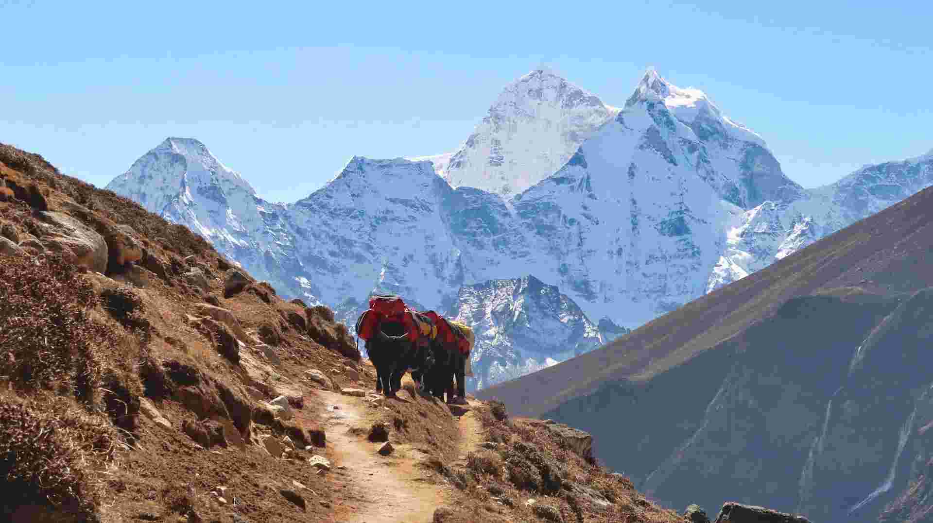 Everest Base Camp