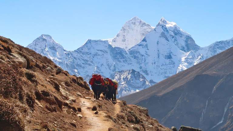 Everest Base Camp trip - alternative tour available