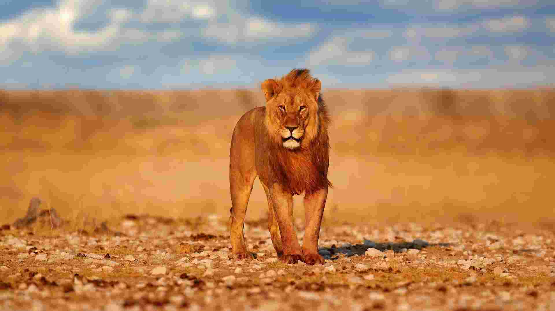 Namibia & Botswana Uncovered - 2026