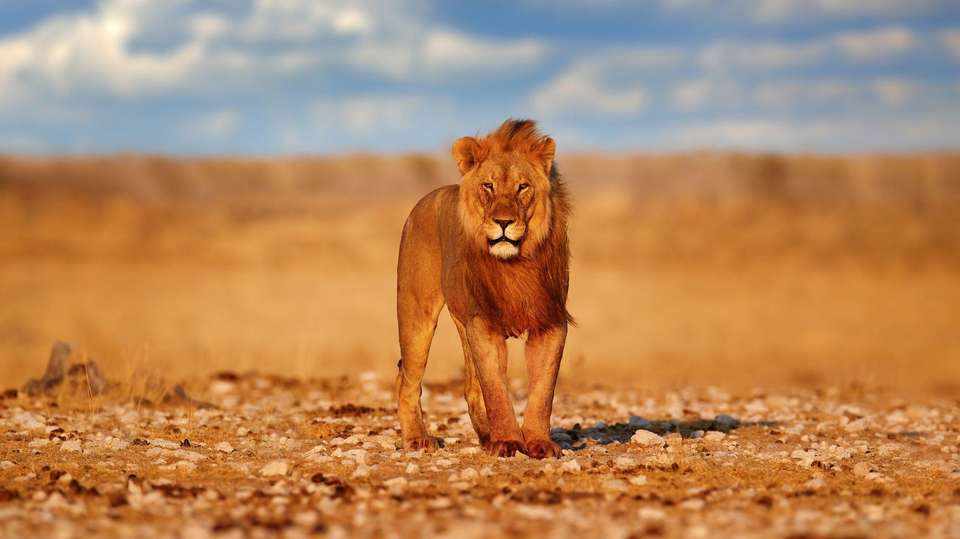 Namibia & Botswana Uncovered - Encounters Travel - Namibia - Image 1