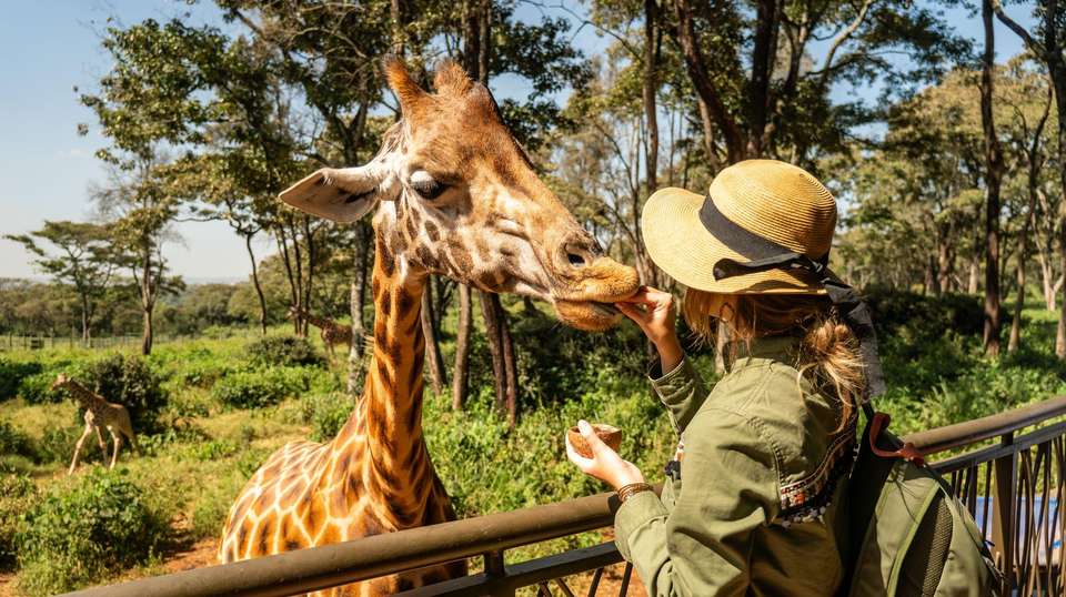 Savannahs & Sands - Encounters Travel - Kenya - Image 4