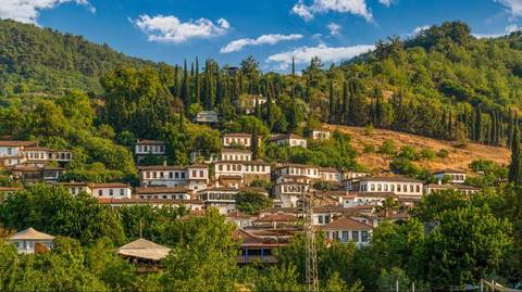 Ephesus And Museum Group Tour