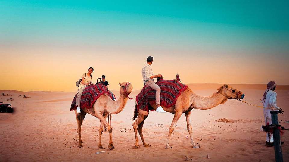 Abu Dhabi Evening Desert Safari With BBQ Dinner - Emirates Tours And Safari Llc - UAE