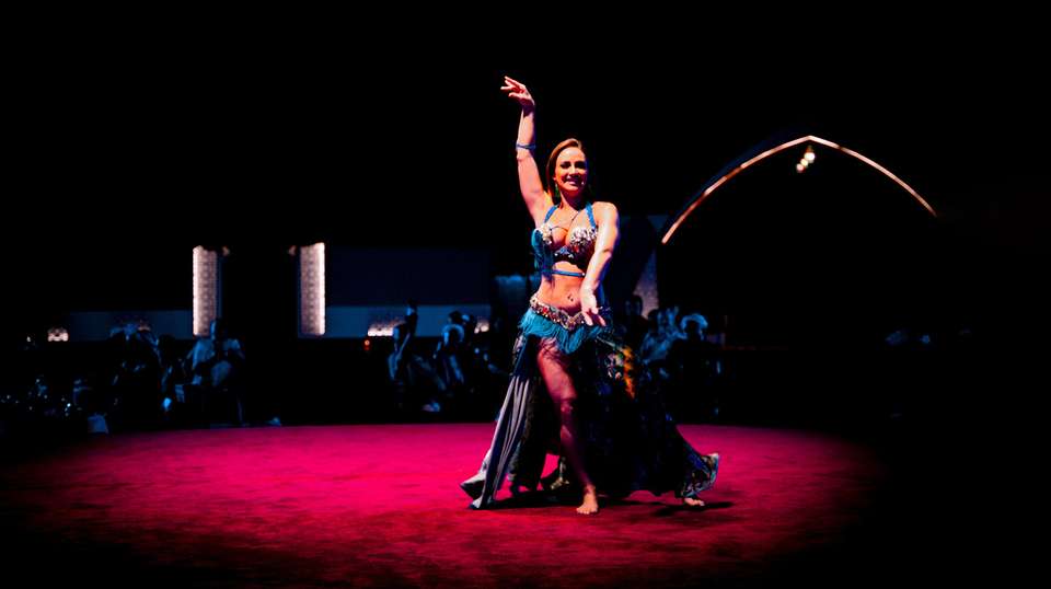 Abu Dhabi Evening Desert Safari With BBQ Dinner - Emirates Tours And Safari Llc - UAE