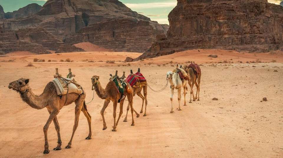 Jordan & Egypt by Nile Cruise (5 & 4 Star Hotels) - Travel Talk - Jordan - Image 6