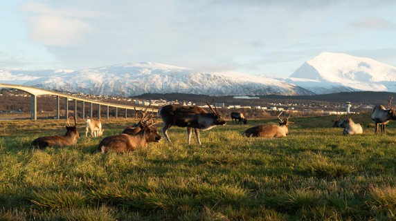 Image 4 of 8