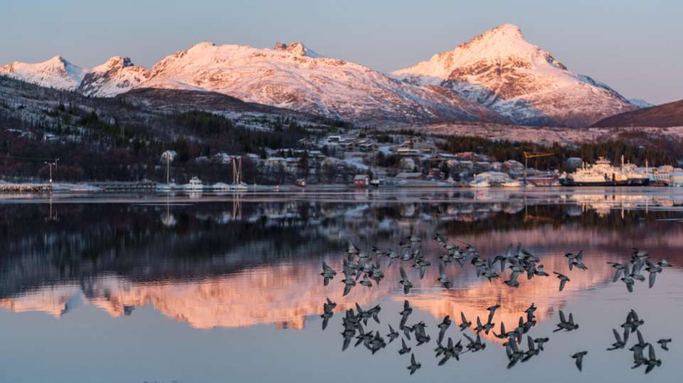 Arctic Fjords Road Trip - undefined - Image 5