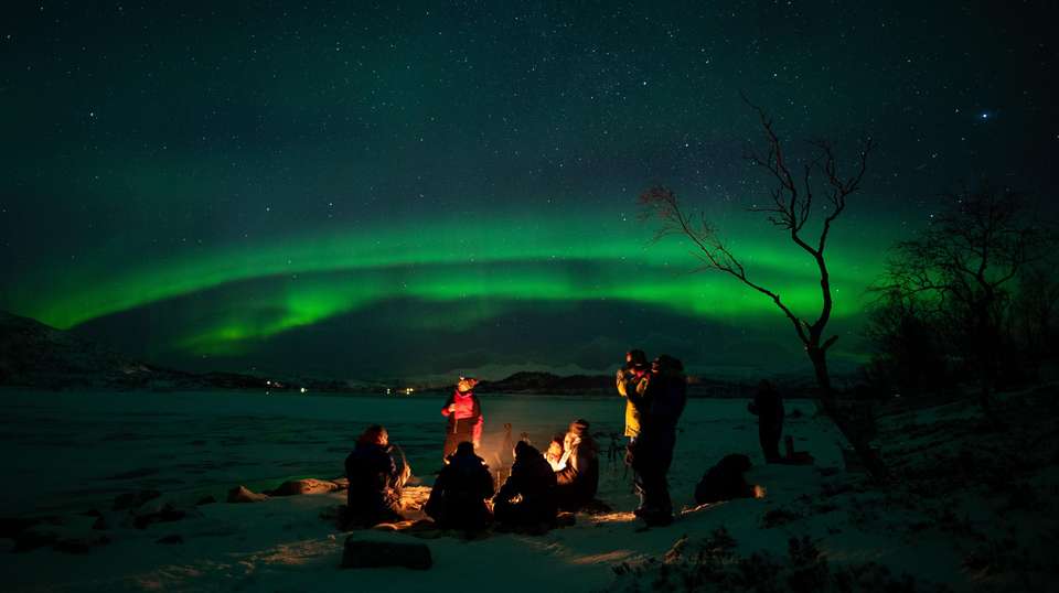 Northern Lights Minibus Chase from Tromsø - undefined - Image 4