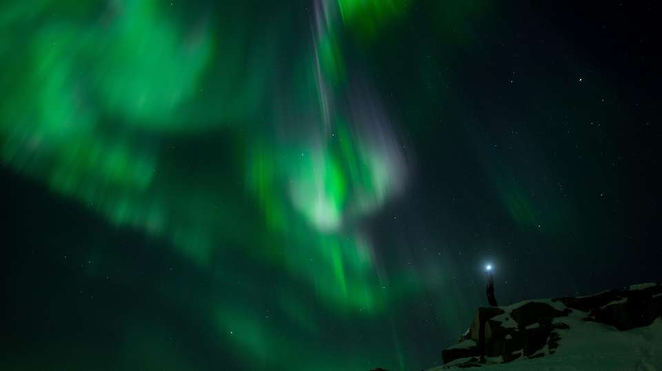 Northern Lights Minibus Chase from Tromsø - undefined - Image 5