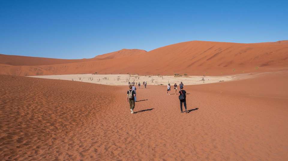 3 Day Sossusvlei Budget Camping - Chameleon Safaris Namibia - Namibia - Image 3