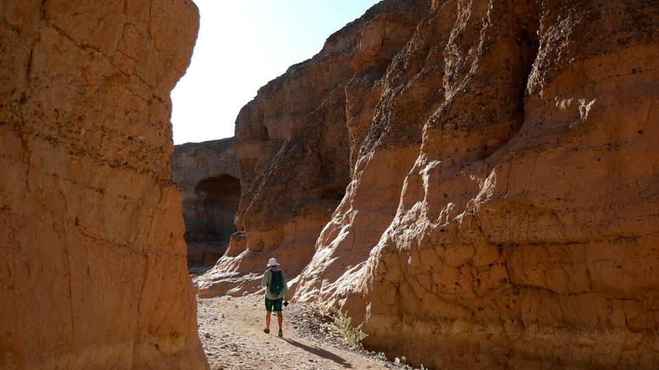 3 Day Sossusvlei Budget Camping - Chameleon Safaris Namibia - Namibia - Image 4