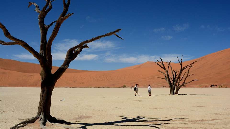 3 Day Sossusvlei Budget Camping - Chameleon Safaris Namibia - Namibia - Image 9