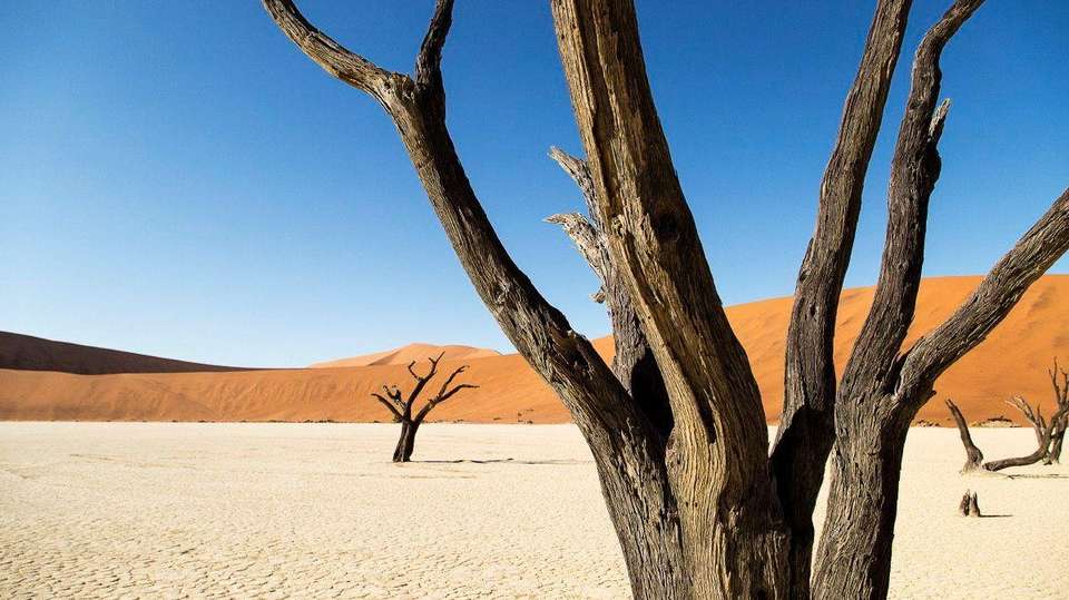 3 Day Sossusvlei Budget Camping - Chameleon Safaris Namibia - Namibia - Image 10