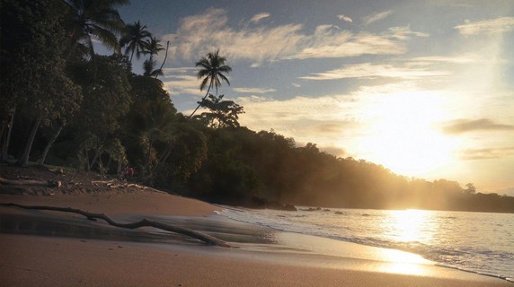 Image 2 of 11