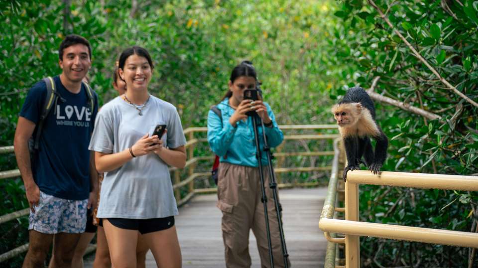 Costa Rica Five Star Experience - Green World Adventures - Costa Rica - Image 6