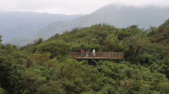 Image 4 of 8