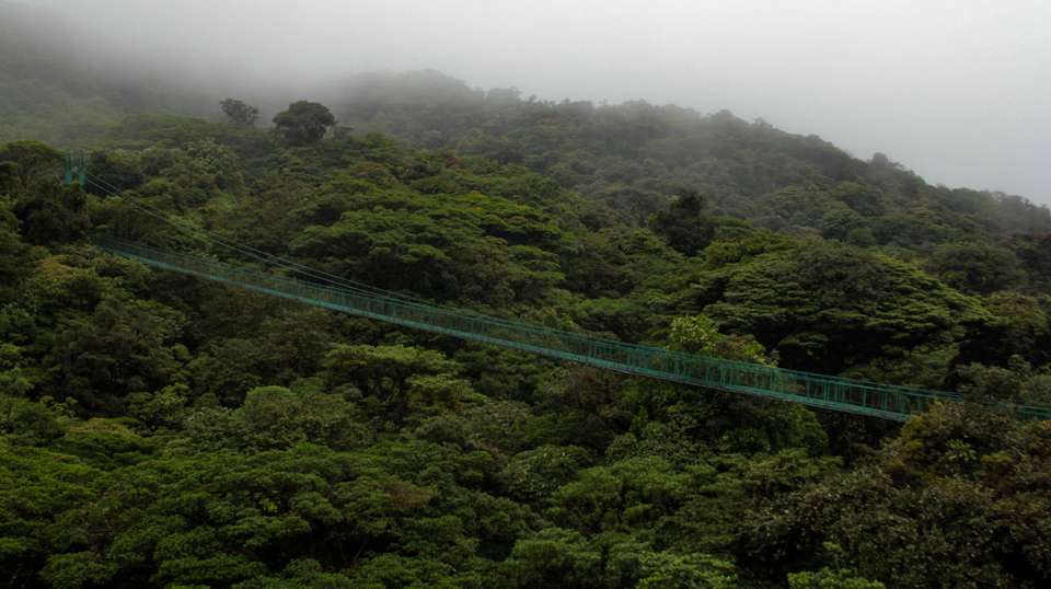 Arenal Volcano & Monteverde Cloud Forest - Green World Adventures - Costa Rica - Image 7