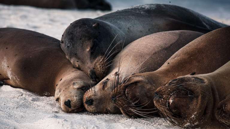Quito Wildlife Tour: Upgraded Land Galapagos