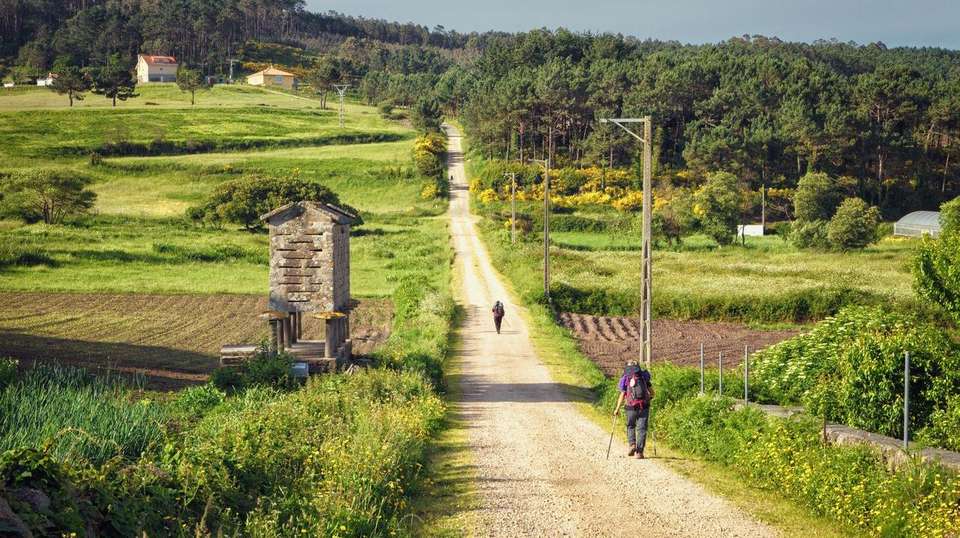 Guided Camino Walk - Sarria to Santiago - Utracks - Spain