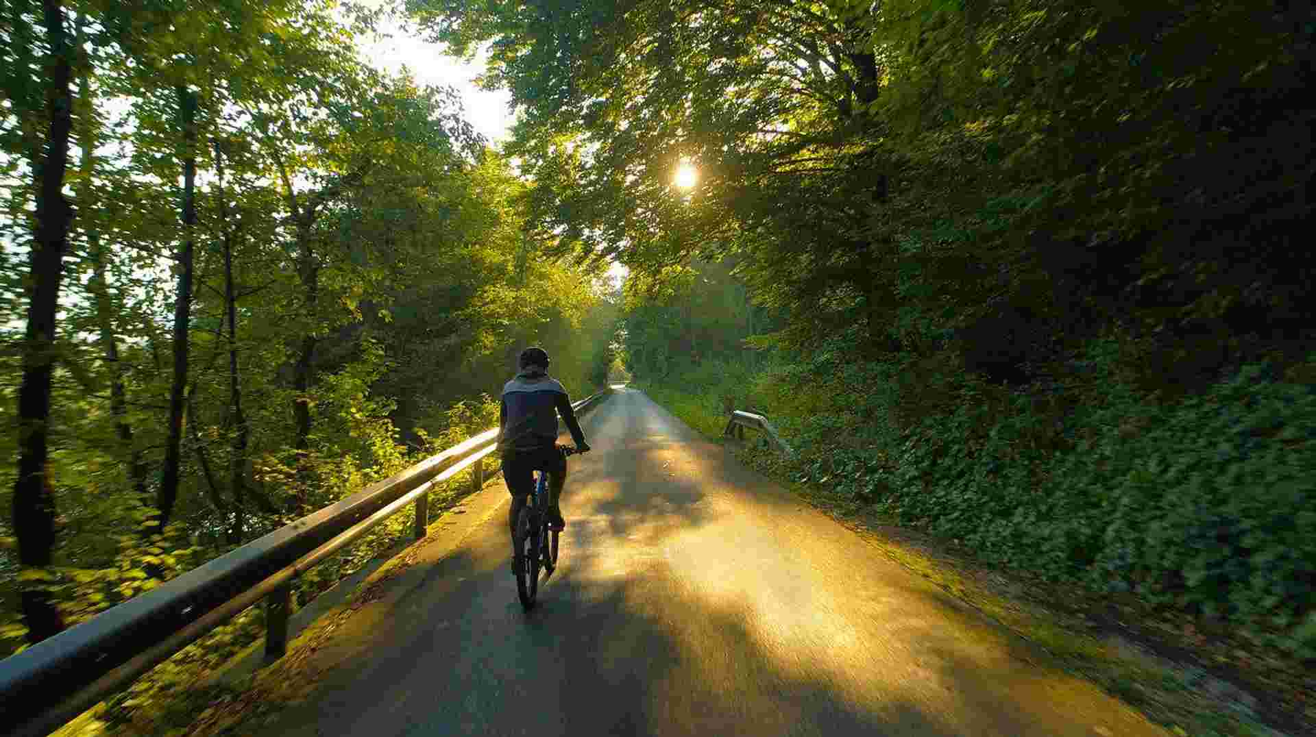 Blue Danube Cycle to Vienna in Comfort