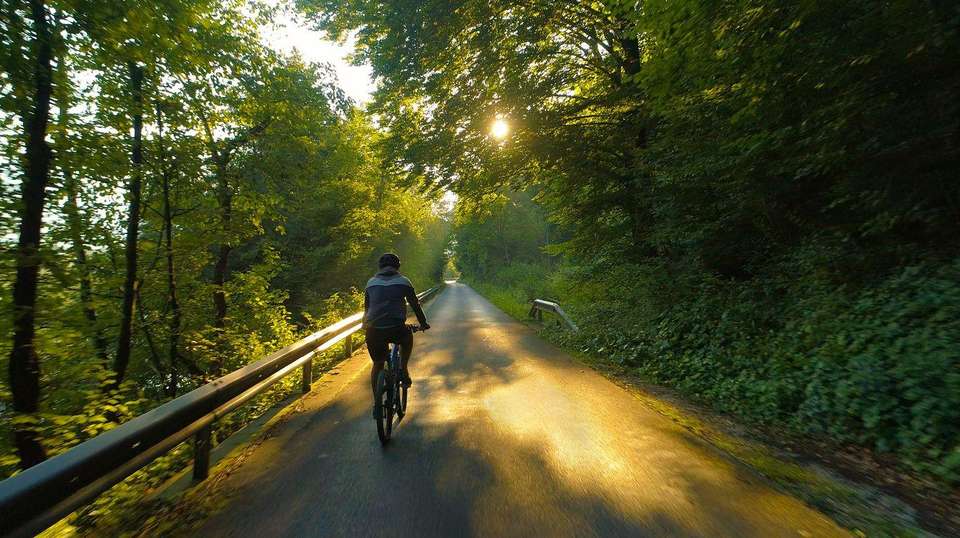 Blue Danube Cycle to Vienna in Comfort - Utracks - Germany - Image 1