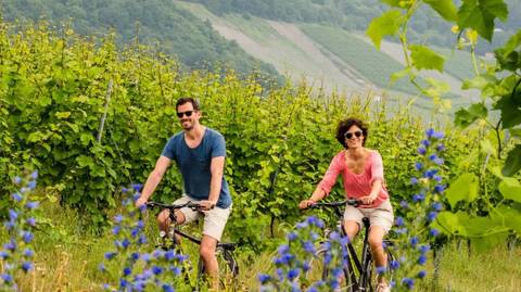 Cologne To Mainz By Bike And Barge