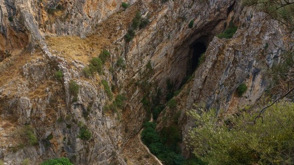 Image 2 of 11