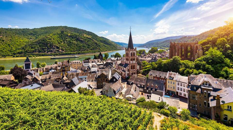 Rhine Valley Bike & Barge - Utracks - Germany - Image 2