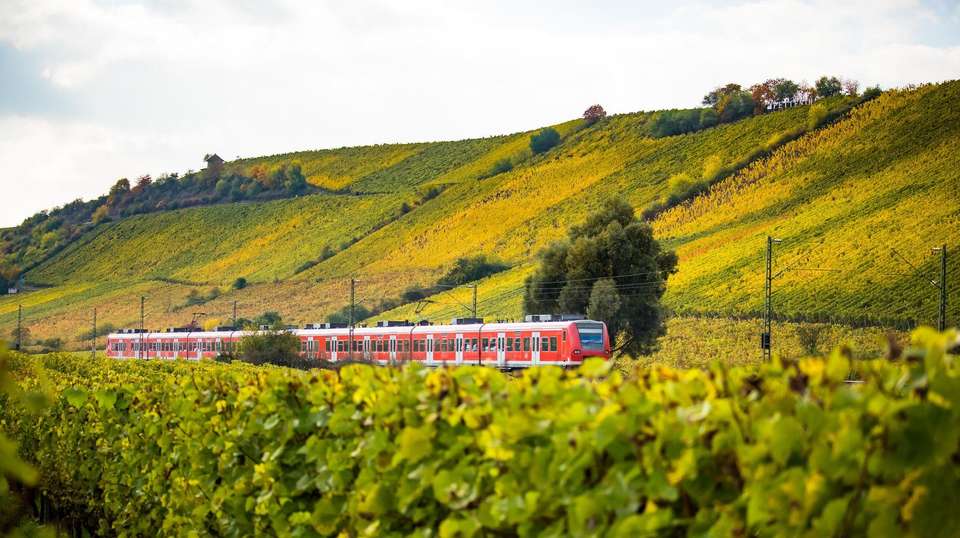 Rhine Valley Bike & Barge - Utracks - Germany - Image 5